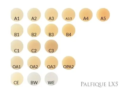 Composite Resina - Palfique  LX5 - 3.8 gr - Tokuyama Dental (1).webp