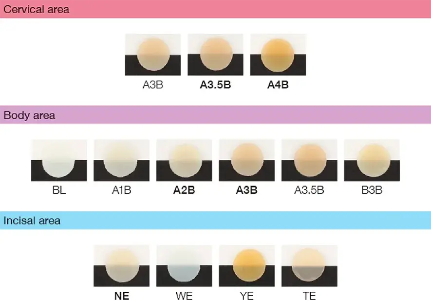 Teintes Asteria.webp