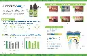 Z-PrimePlus_Brochure_Page_2.webp